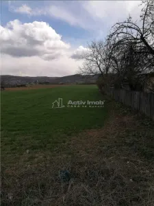 Generous Land Plot in Wine Region – Ideal for Rural Cottage Development - foto 3