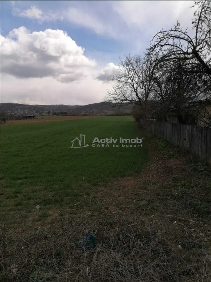 Generous Land Plot in Wine Region – Ideal for Rural Cottage Development - foto 3