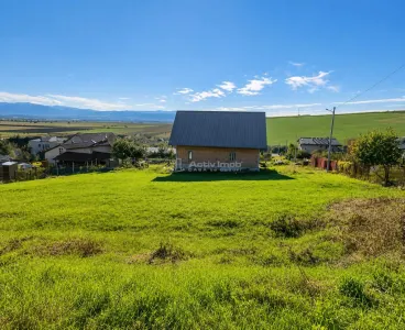 Teren intravilan in Sura Mare de vanzare - Sura Mare