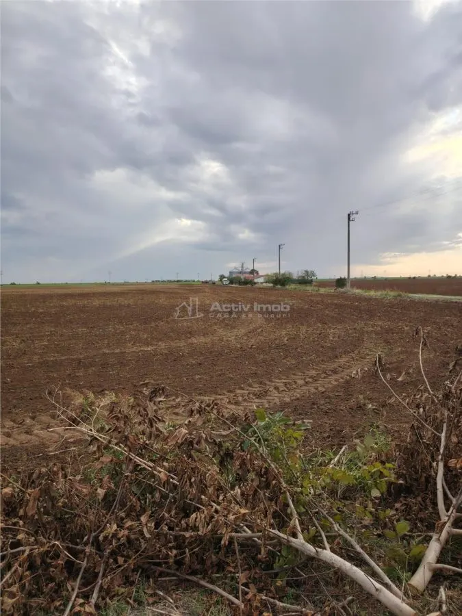 Development Land with 38m Frontage on DN 1 A, Baicoi - foto 1