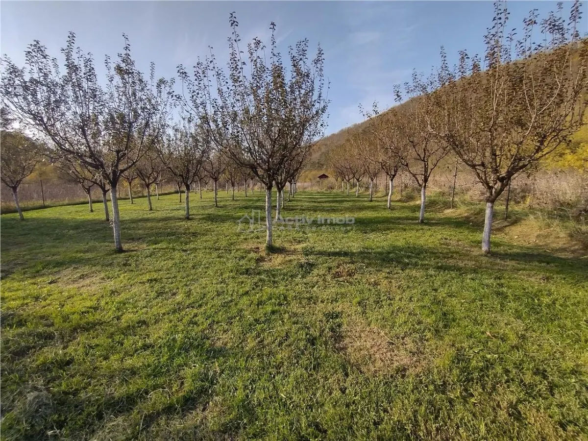 Slatina-Nera, 1445Mp. Teren Drept la Sosea, langa Raul Nera - foto 11