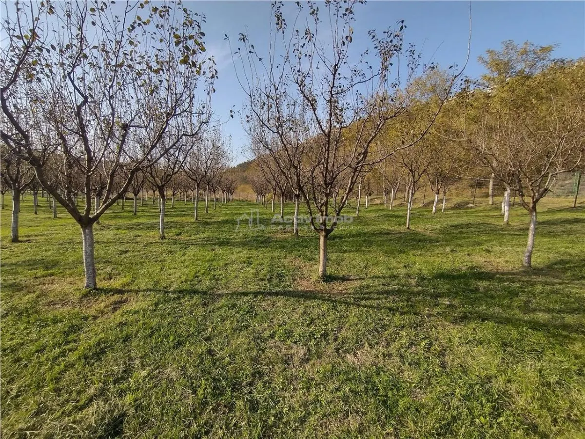 Slatina-Nera, 1445Mp. Teren Drept la Sosea, langa Raul Nera - foto 12