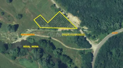 Slatina-Nera, 1445Mp. Teren Drept la Sosea, langa Raul Nera - foto 3