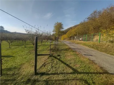 Slatina-Nera, 1445Mp. Teren Drept la Sosea, langa Raul Nera - foto 6