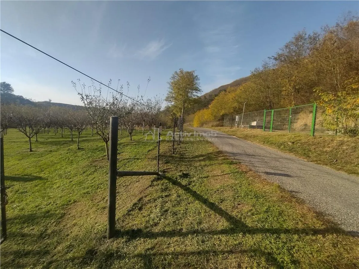 Slatina-Nera, 1445Mp. Teren Drept la Sosea, langa Raul Nera - foto 6