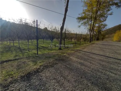 Slatina-Nera, 1445Mp. Teren Drept la Sosea, langa Raul Nera - foto 7