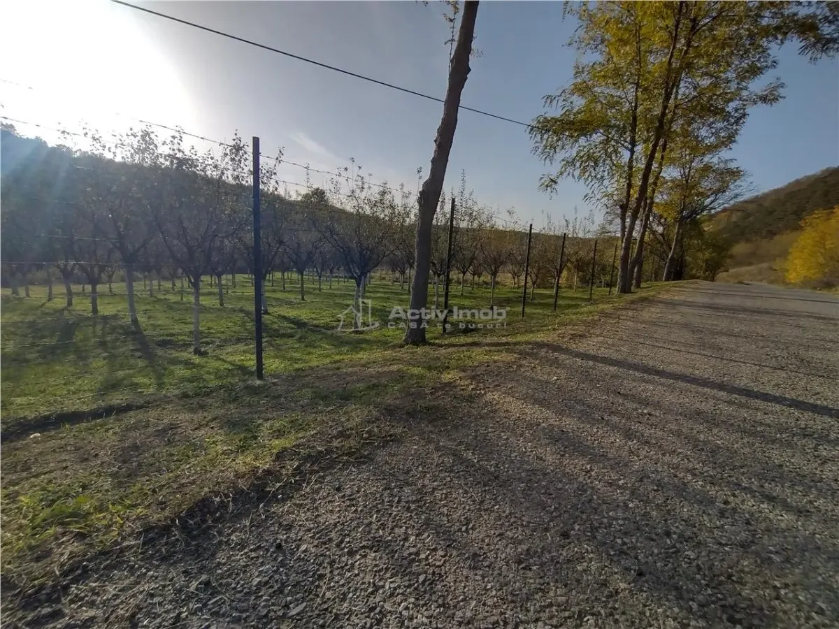 Slatina-Nera, 1445Mp. Teren Drept la Sosea, langa Raul Nera - foto 7