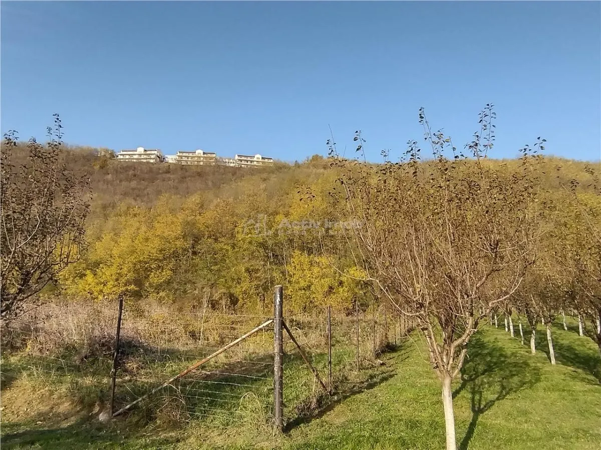 Slatina-Nera, 1445Mp. Teren Drept la Sosea, langa Raul Nera - foto 8