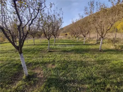 Slatina-Nera, 1445Mp. Teren Drept la Sosea, langa Raul Nera - foto 10
