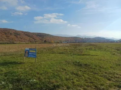 Teren de vanzare pentru constructii case 1 hectar - Talmaciu