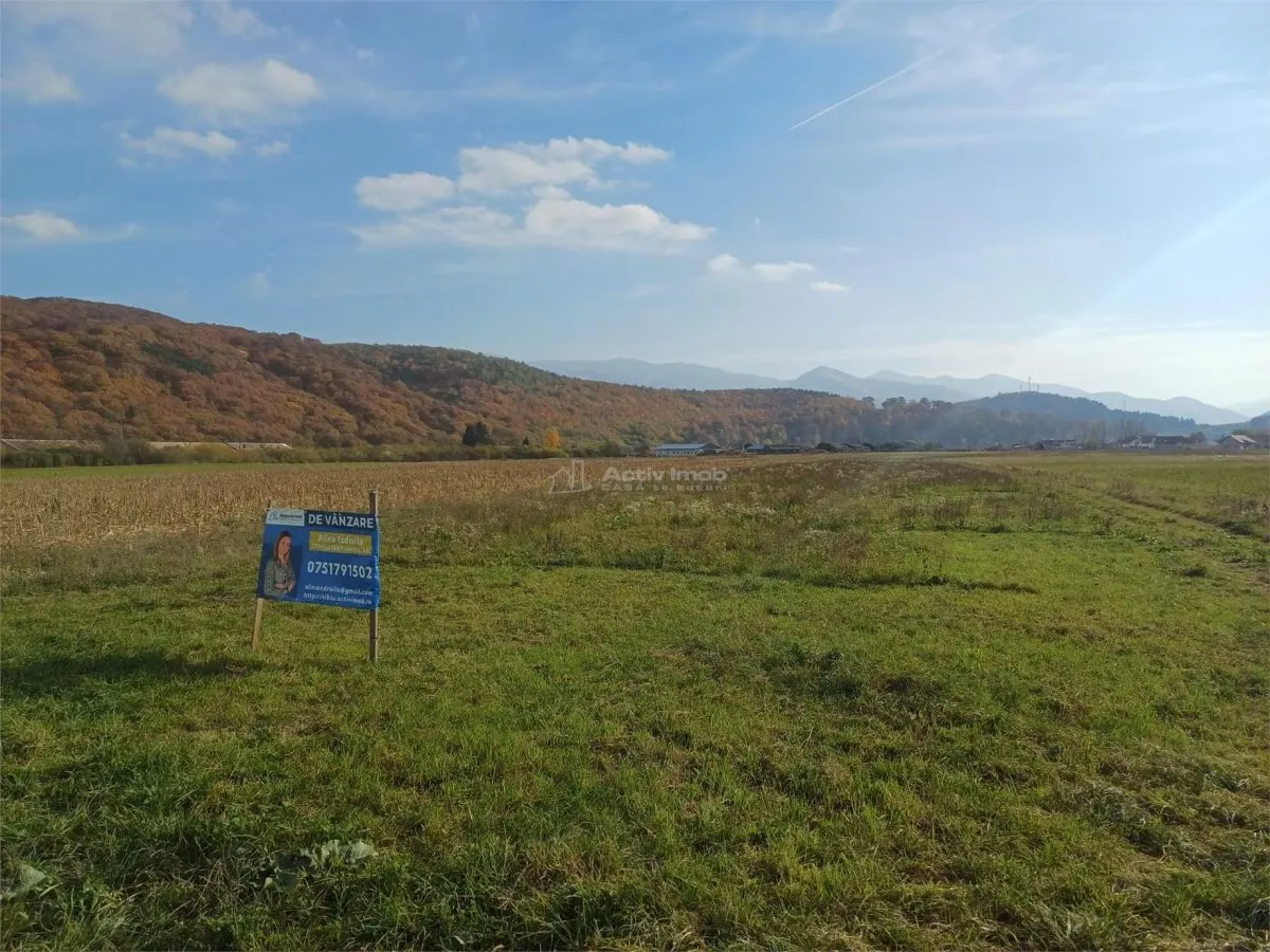 1公顷住宅建设用地 - foto 1