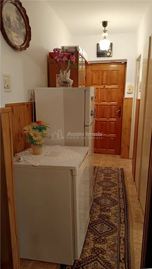 Moldova Noua, Apartament 2 Cam. Semidecomandat - foto 14