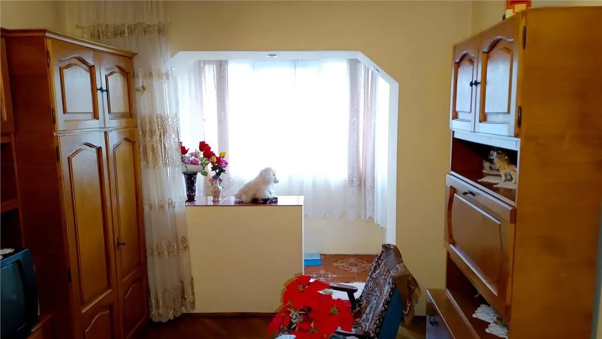 Moldova Noua, Apartament 2 Cam. Semidecomandat - foto 8