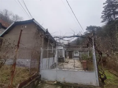 奥拉维察度假屋，固定价格，大湖区 - foto 15