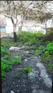 布加勒斯特新城住宅用地 - 优越地理位置 - Bucuresti