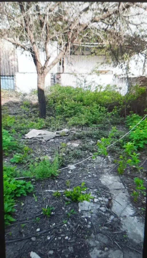 布加勒斯特新城住宅用地 - 优越地理位置 - foto 1