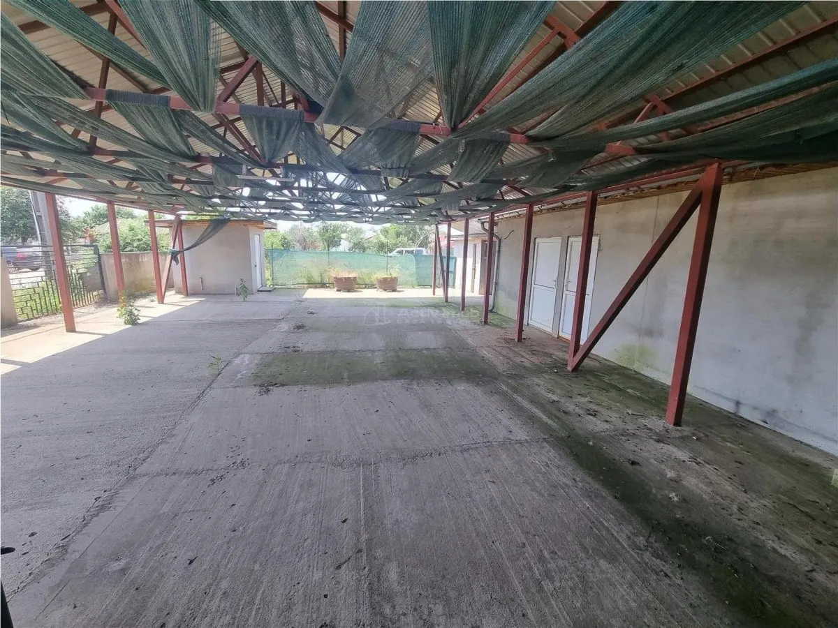 餐厅生意转让，布泽斯库，特莱奥尔曼 - foto 11
