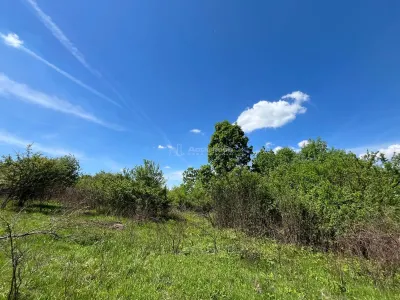 Lugoj Teren 5.300 Mp., Dealul Viilor, Priveliste Impresionanta - foto 10