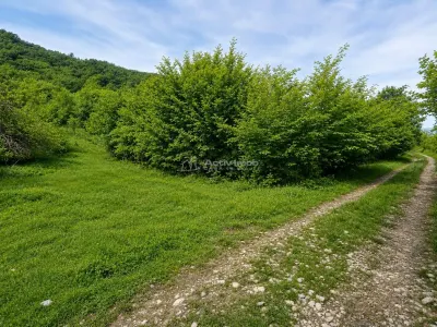Teren pentru cabana la liziera padurii Talmaciu - Talmaciu