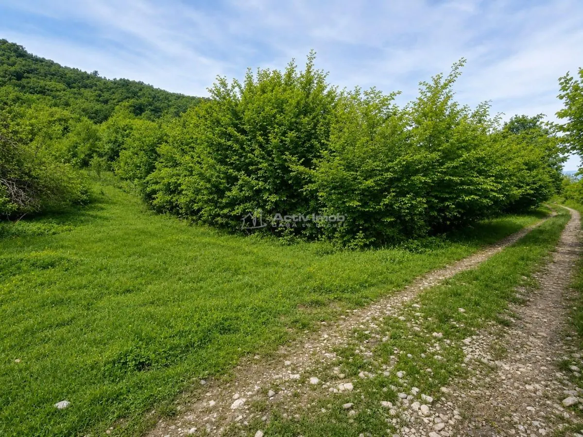 Teren pentru cabana la liziera padurii Talmaciu - foto 1