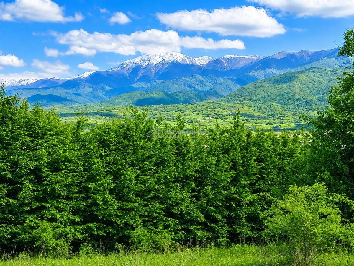 Teren pentru cabana la liziera padurii Talmaciu - foto 3