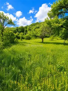 Teren pentru cabana la liziera padurii Talmaciu - foto 5