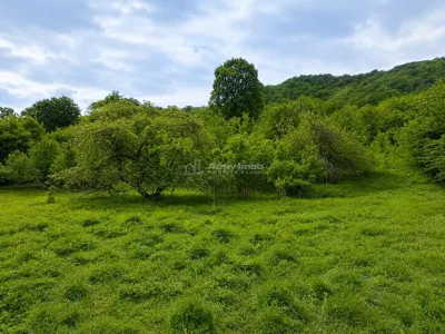 Teren pentru cabana la liziera padurii Talmaciu - foto 6