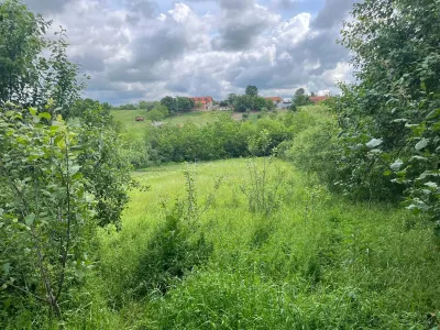 Honorici, Casa Cu Teren, 230 Mp. Suprafata construita, 1.700 Mp. Suprafata teren - foto 15
