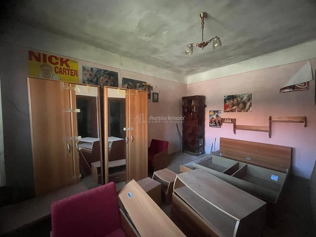 Valisoara, House with Land 3,040 m², 10 Minutes from Caransebes - foto 2