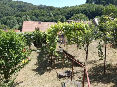Anina, Celnic – Maison Clés en Main, 12 Pièces, Zéro Commission - foto 19