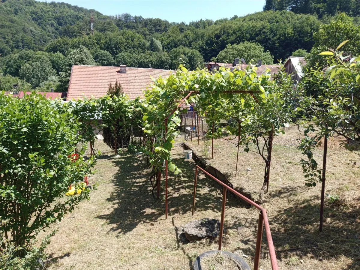 Anina, Celnic – Maison Clés en Main, 12 Pièces, Zéro Commission - foto 19