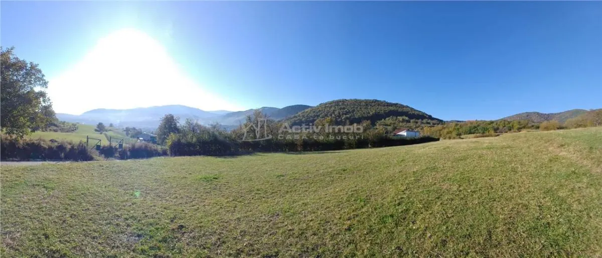 Teren de vanzare in Rasinari - foto 3