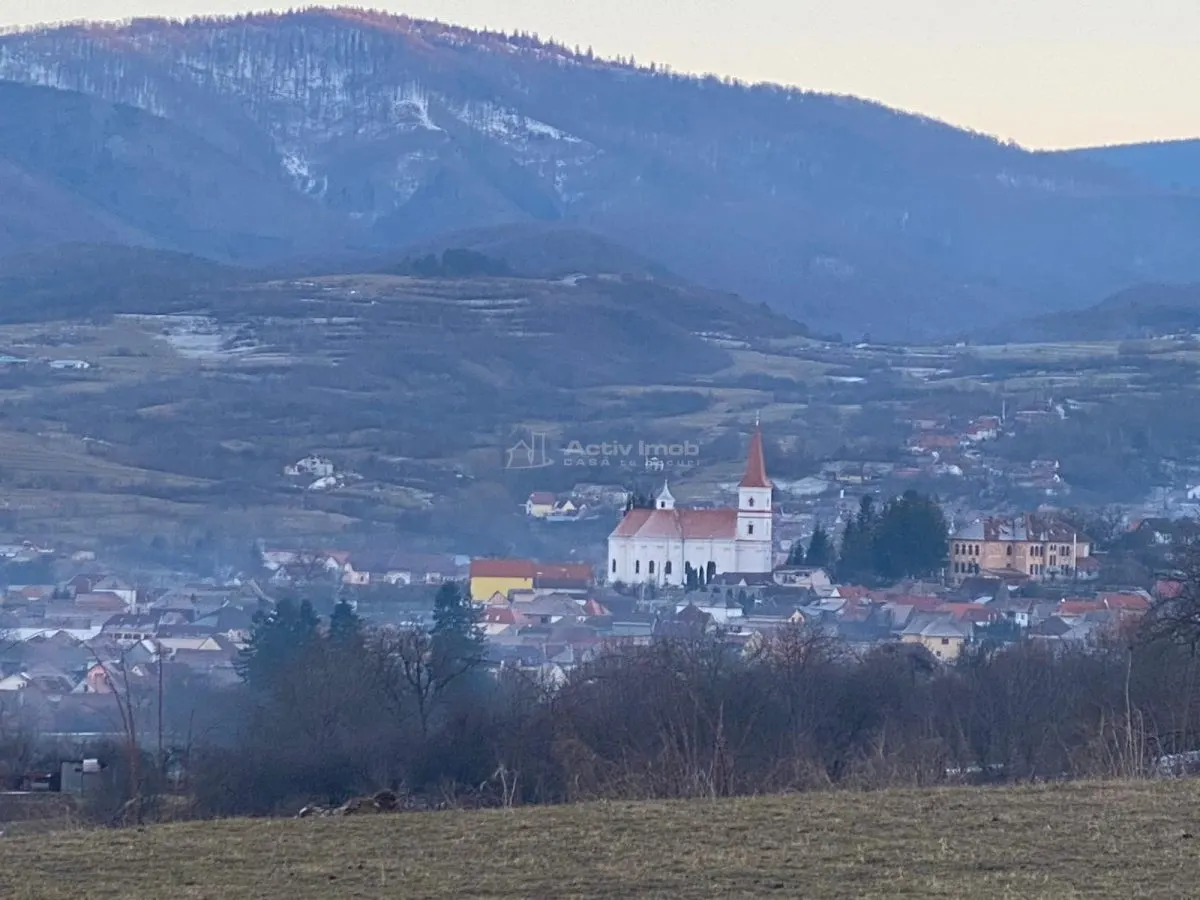 Teren de vanzare in Rasinari - foto 4