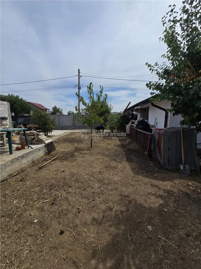 Dragomiresti Vale-Centura- Militari - foto 2