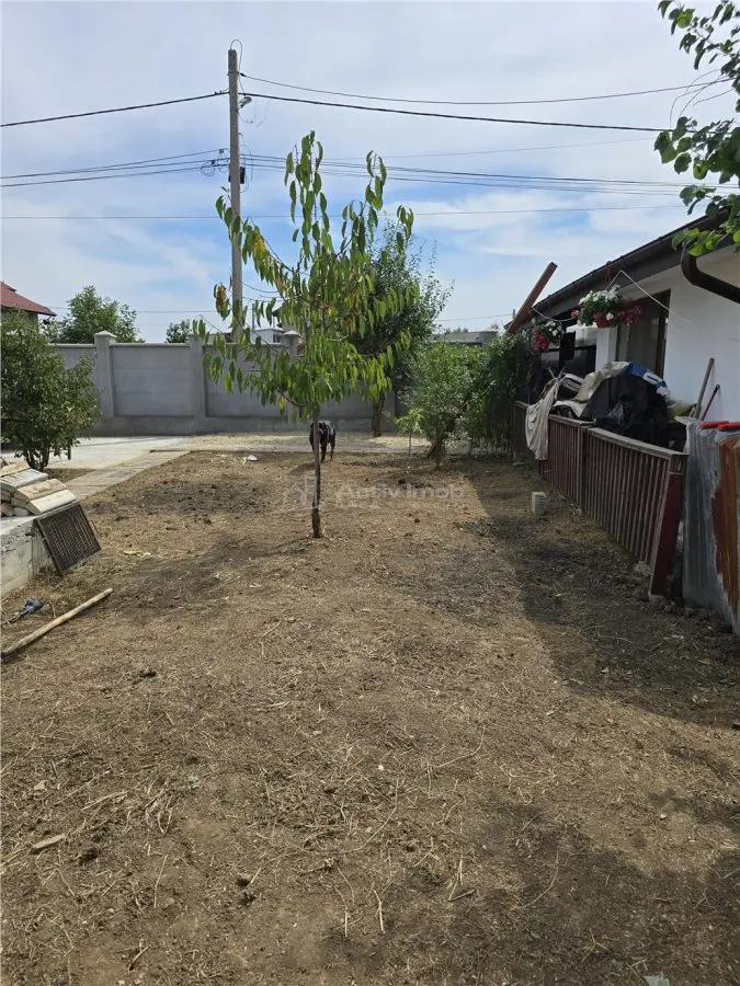 Dragomiresti Vale-Centura- Militari - foto 18