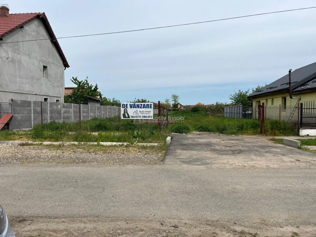 Remetea Mare, Teren Intravilan 1.500 Mp., - foto 6