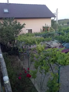 Casa pe malul lacului Paleu – teren 510 mp - priveliste deosebita - foto 2