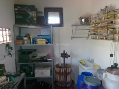 Casa pe malul lacului Paleu – teren 510 mp - priveliste deosebita - foto 14