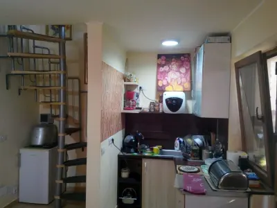 Casa pe malul lacului Paleu – teren 510 mp - priveliste deosebita - foto 7