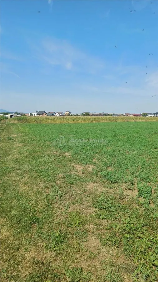 Teren intravilan 2500 mp de vanzare - foto 2
