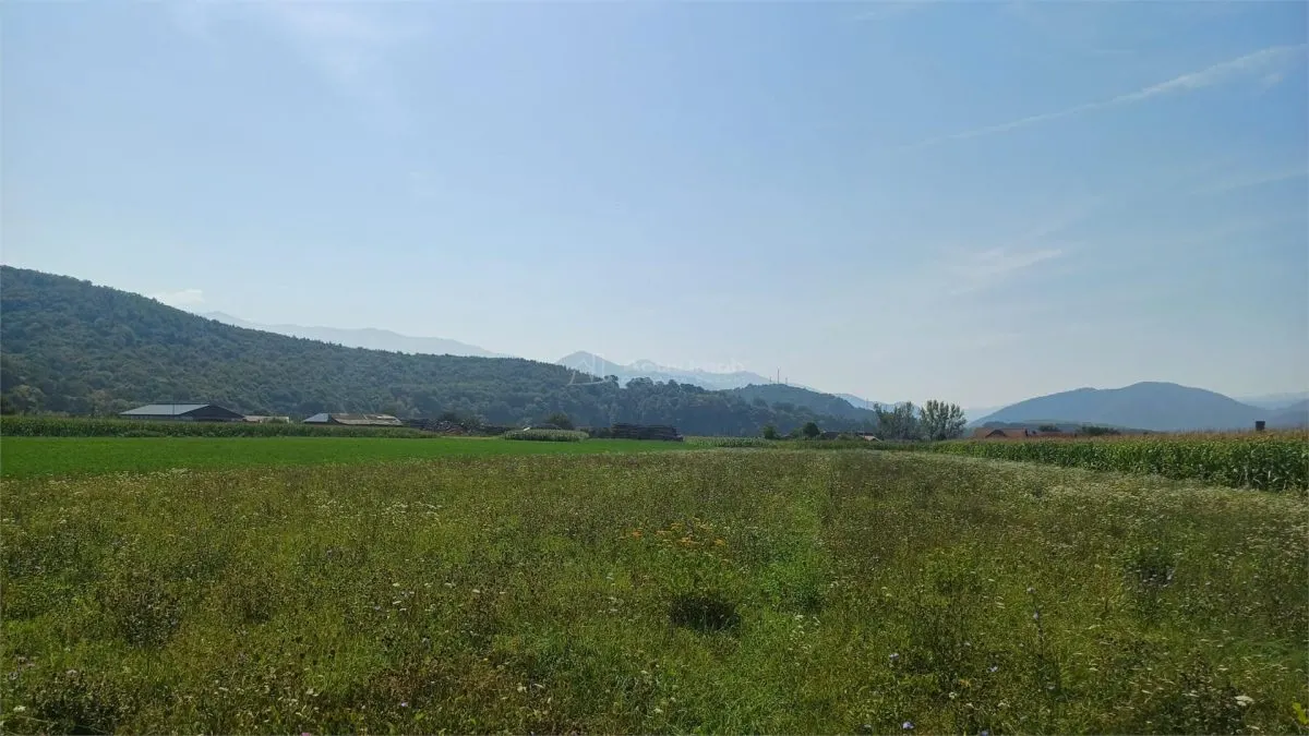 Teren intravilan 2500 mp de vanzare - foto 3