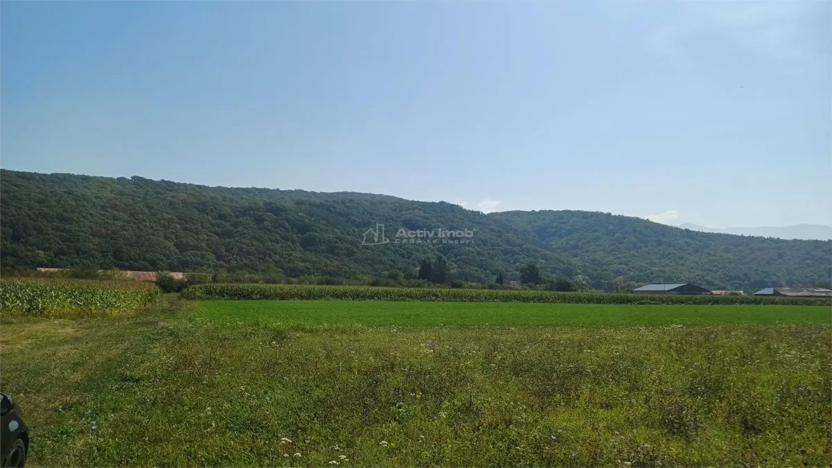 Teren intravilan 2500 mp de vanzare - foto 4