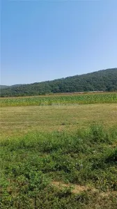 Teren intravilan 2500 mp de vanzare - foto 5