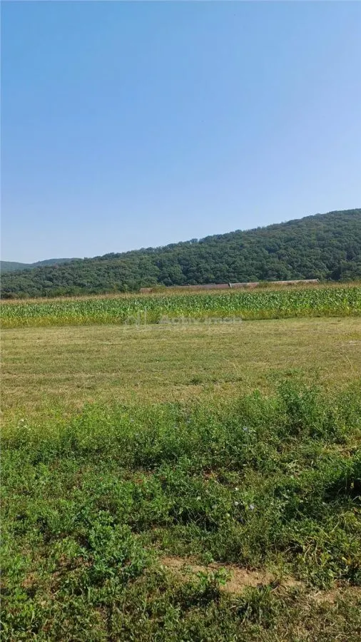 Teren intravilan 2500 mp de vanzare - foto 5