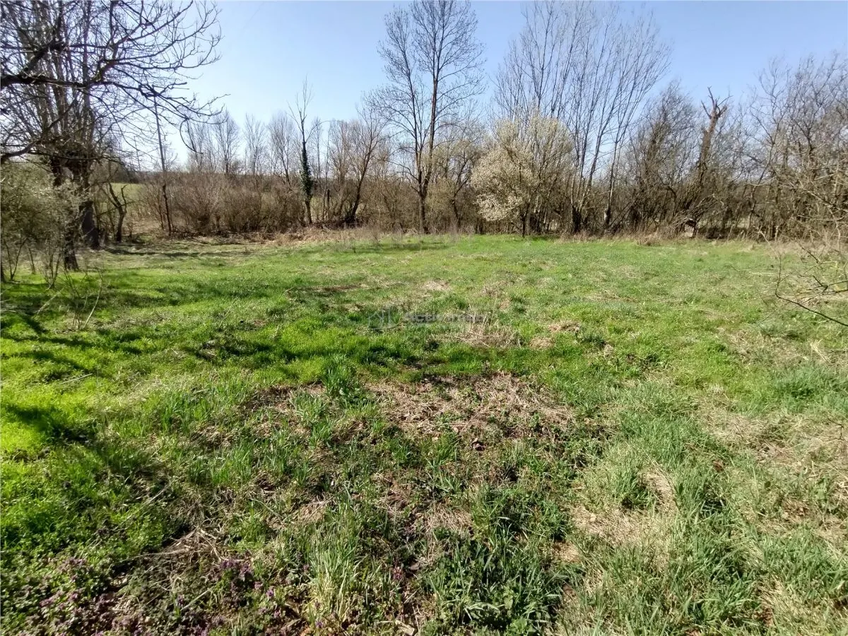 拉基托瓦，8房屋，3800平方米土地，可议价 - foto 6