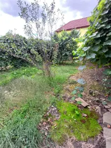 Casa de vanzare in Talmaciu - foto 20