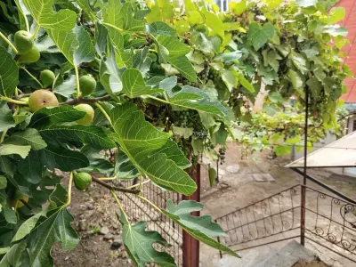 奥拉维察，钥匙入住房屋，7间房间，阁楼改造可能，价格可议 - foto 11