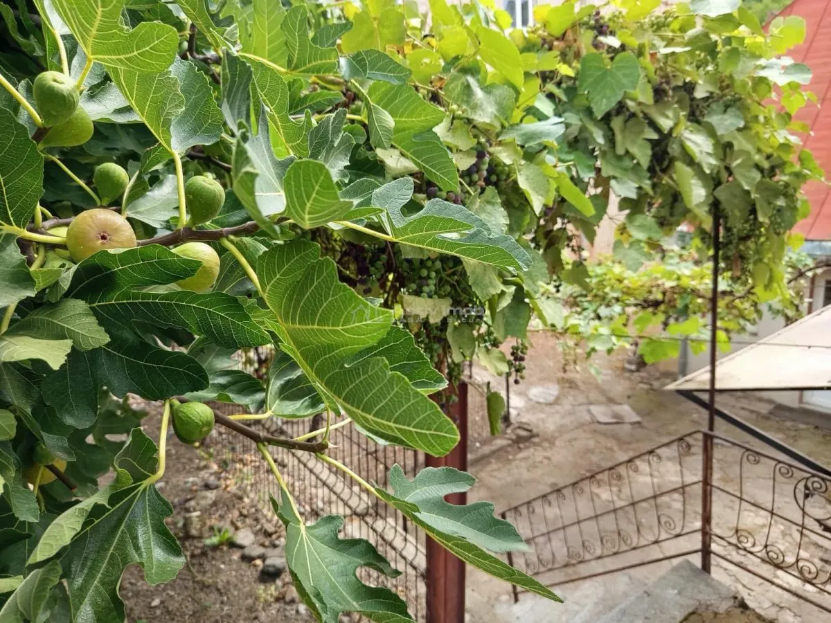 奥拉维察，钥匙入住房屋，7间房间，阁楼改造可能，价格可议 - foto 11