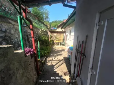 Resita Casa Zona Gradina Zoologica - foto 11