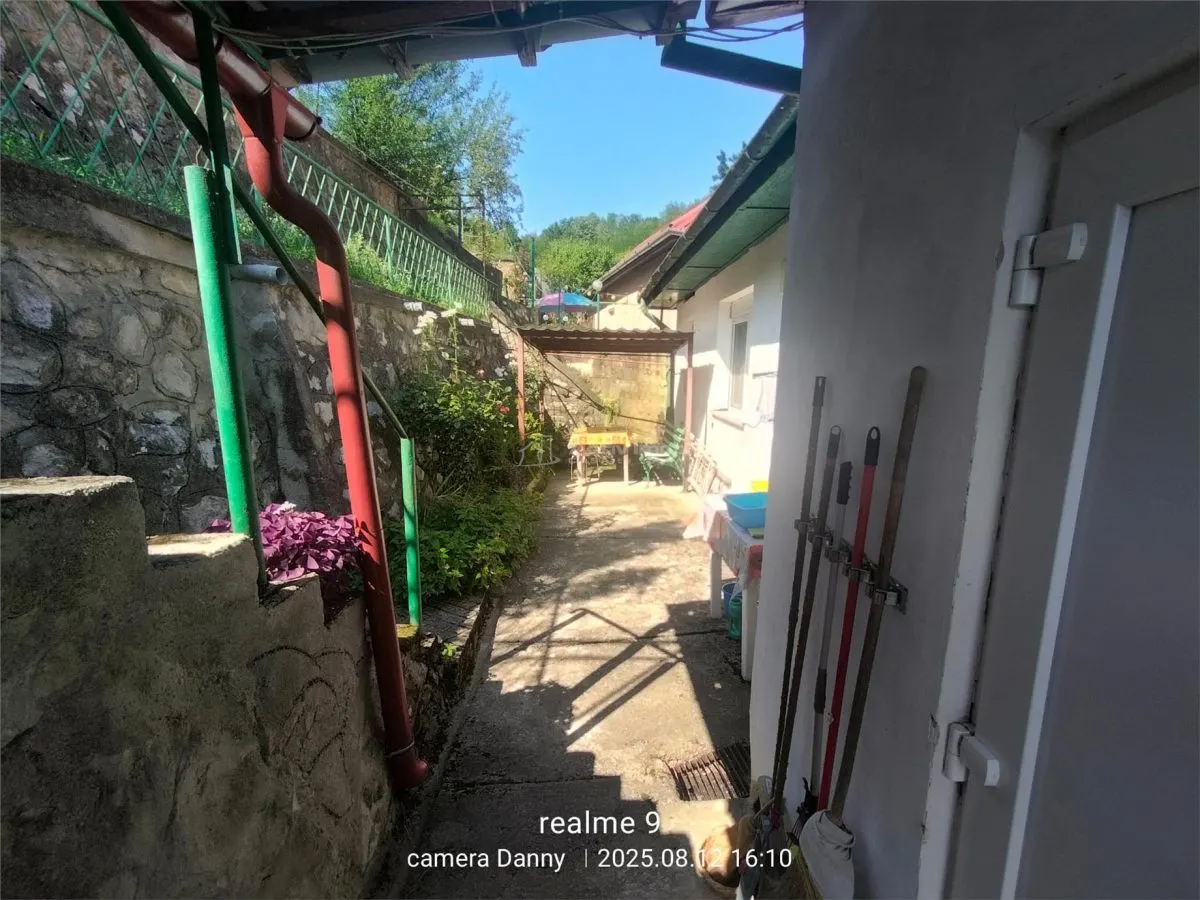 Resita Casa Zona Gradina Zoologica - foto 11